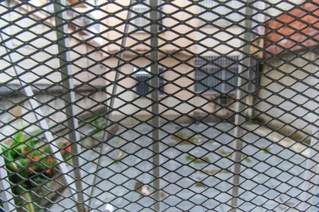 Casa de condomínio para alugar com 110m², 3 quartos e sem vaga