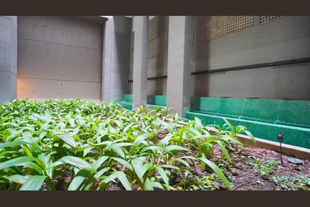 Studio para alugar com 43m², 1 quarto e 1 vagaÁrea comum