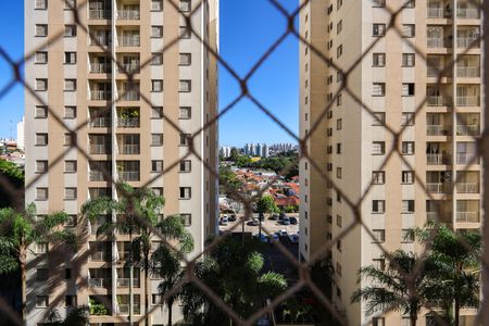 Apartamento à venda com 65m², 3 quartos e 1 vagaVista do Quarto 3