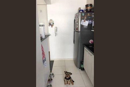 Apartamento à venda com 48m², 2 quartos e sem vaga