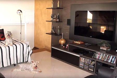 Casa para alugar com 340m², 4 quartos e 6 vagas