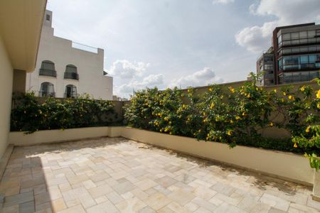 Studio para alugar com 32m², 1 quarto e 1 vagaÁrea Comum - Solarium