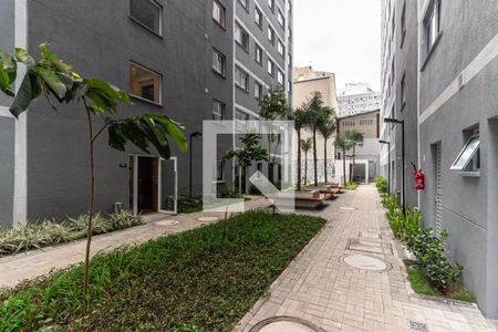 Apartamento para alugar com 30m², 1 quarto e sem vagaJardim Interno