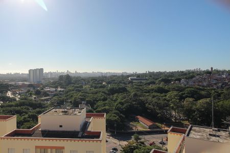 Vista da Sala de apartamento para alugar com 3 quartos, 64m² em Rio Pequeno, São Paulo