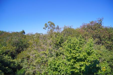 vista do Quarto 1 de apartamento para alugar com 2 quartos, 47m² em Duque de Caxias, São Leopoldo