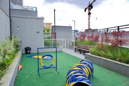 Apartamento para alugar com 60m², 2 quartos e 2 vagas Apartamento para alugar com 60m², 2 quartos e 2 vagasÁrea Comum - Pet Place