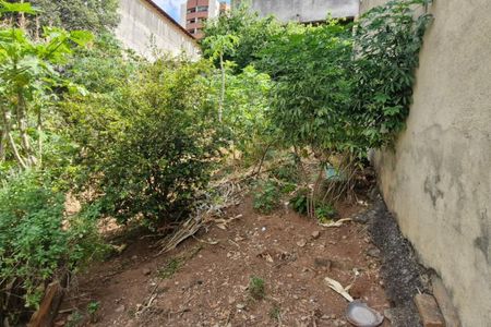 Casa à venda com 2 quartos, 384m² em Vila Pereira Barreto, São Paulo