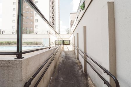 Apartamento à venda com 75m², 3 quartos e 1 vaga Apartamento à venda com 75m², 3 quartos e 1 vagaÁrea comum - Piscina