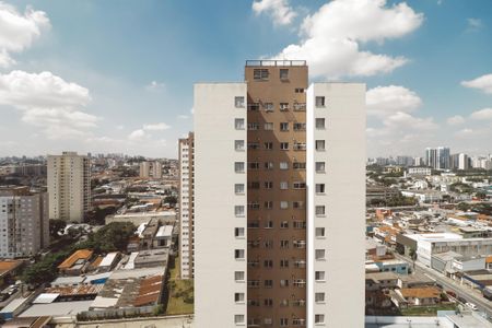 Apartamento à venda com 75m², 3 quartos e 1 vaga Apartamento à venda com 75m², 3 quartos e 1 vagaVista da Suíte