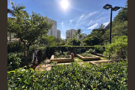 Apartamento para alugar com 144m², 3 quartos e 2 vagas Apartamento para alugar com 144m², 3 quartos e 2 vagasHorta