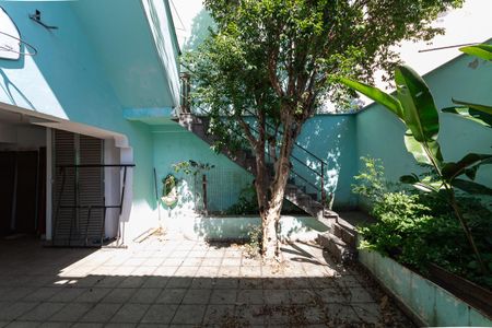 Casa para alugar com 400m², 6 quartos e 6 vagas Casa para alugar com 400m², 6 quartos e 6 vagasQuintal
