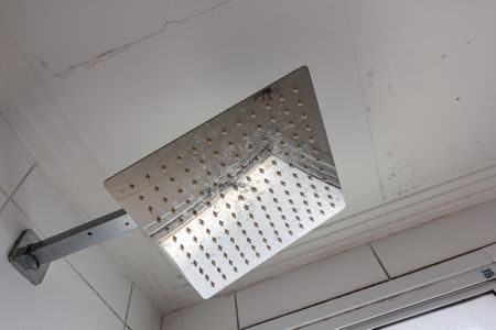 Apartamento para alugar com 68m², 3 quartos e 1 vagaBanheiro do Quarto 2 suíte