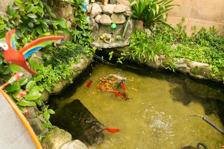 Casa à venda com 130m², 2 quartos e 3 vagasÁrea comum - Quintal 