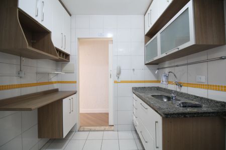 Apartamento para alugar com 60m², 3 quartos e 1 vagaCozinha - Armários