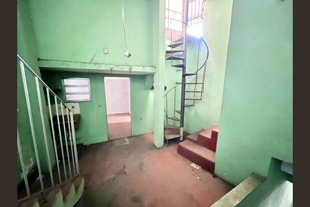 Quintal de casa à venda com 6 quartos, 234m² em Vila Romero, São Paulo