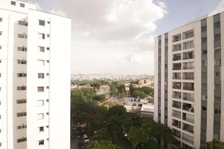 Apartamento à venda com 365m², 5 quartos e 4 vagasVista