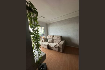 Sala de apartamento à venda com 3 quartos, 70m² em Fazenda Santa Cândida, Campinas