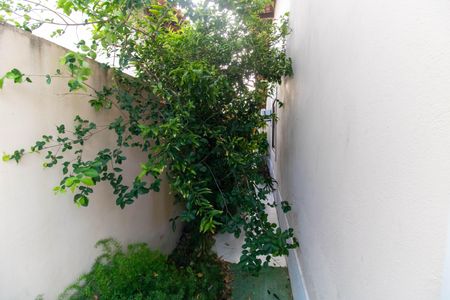 Casa de condomínio para alugar com 200m², 5 quartos e 2 vagas Casa de condomínio para alugar com 200m², 5 quartos e 2 vagasÁrea externa