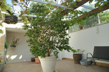 Casa à venda com 460m², 6 quartos e 4 vagasQuintal/Entrada 