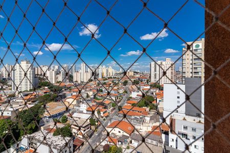 Apartamento à venda com 114m², 3 quartos e 3 vagasÁrea de Serviço - Vista