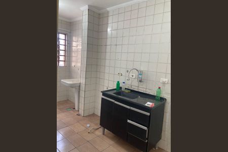 Cozinha de apartamento para alugar com 2 quartos, 45m² em Jardim Martins Silva, São Paulo