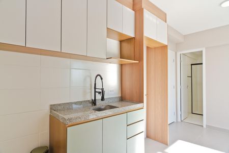 Apartamento para alugar com 41m², 2 quartos e sem vagaCozinha