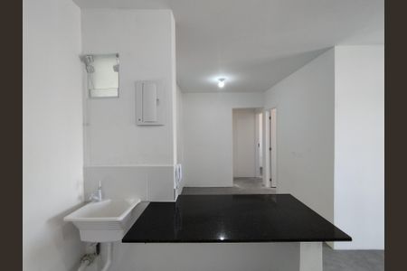 Apartamento à venda com 49m², 2 quartos e sem vagaCozinha - Torneira