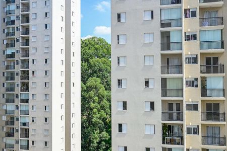 Vista de apartamento para alugar com 2 quartos, 51m² em Jardim Caboré, São Paulo