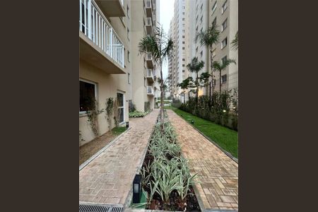 Apartamento à venda com 2 quartos, 36m² em Vila Graciosa, São Paulo