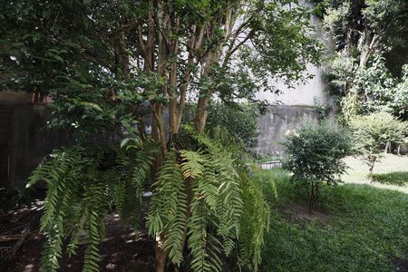 Casa à venda com 492m², 2 quartos e 2 vagasQuintal