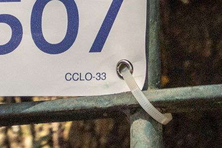 Apartamento à venda com 150m², 2 quartos e 2 vagasCCLO-33