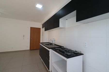 Cozinha de apartamento para alugar com 2 quartos, 55m² em Reserva Real, Ribeirão Preto
