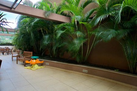 Apartamento para alugar com 77m², 3 quartos e 2 vagas Apartamento para alugar com 77m², 3 quartos e 2 vagasÁrea Comum - Salão de Festas Externa