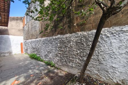 Casa para alugar com 200m², 4 quartos e 3 vagasQuintal