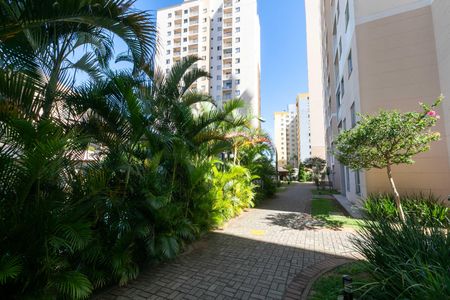 Apartamento à venda com 60m², 3 quartos e 1 vagaÁREA COMUM