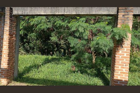 Casa para alugar com 5000m², 3 quartos e 15 vagasÁrea externa