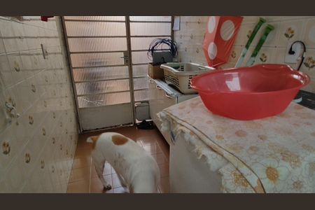 Casa para alugar com 237m², 3 quartos e 6 vagas