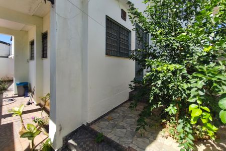 Casa para alugar com 279m², 5 quartos e 4 vagasQuintal