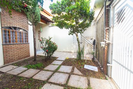 Casa para alugar com 322m², 5 quartos e 8 vagasQuintal