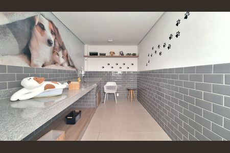 Apartamento para alugar com 34m², 2 quartos e sem vaga Apartamento para alugar com 34m², 2 quartos e sem vagaÁrea Pet