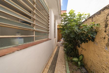 Casa para alugar com 250m², 2 quartos e 1 vagaQuintal