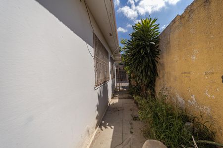 Casa para alugar com 250m², 2 quartos e 1 vagaQuintal