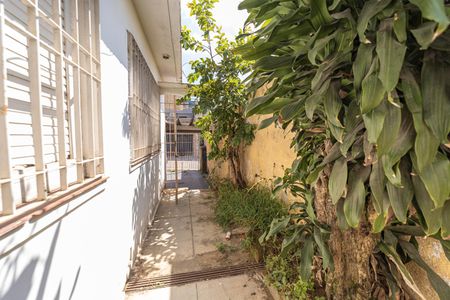 Casa para alugar com 250m², 2 quartos e 1 vagaQuintal