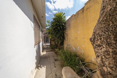 Casa para alugar com 250m², 2 quartos e 1 vagaQuintal