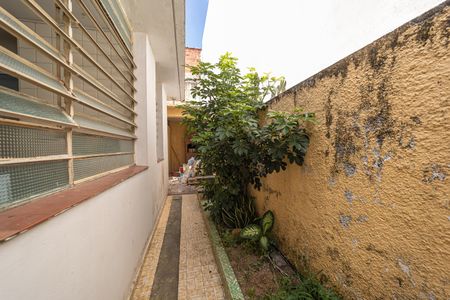 Casa para alugar com 250m², 2 quartos e 1 vagaQuintal