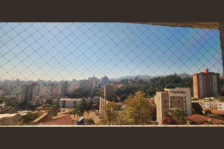 Apartamento à venda com 320m², 4 quartos e 4 vagasVista da varanda