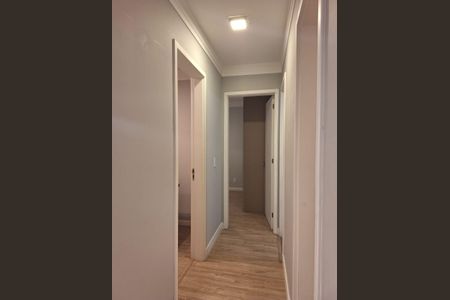 Corredor de apartamento para alugar com 2 quartos, 59m² em Vila Anastácio, São Paulo