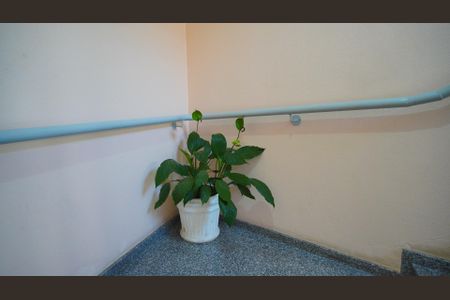 Apartamento para alugar com 58m², 2 quartos e 1 vagaÁrea comum