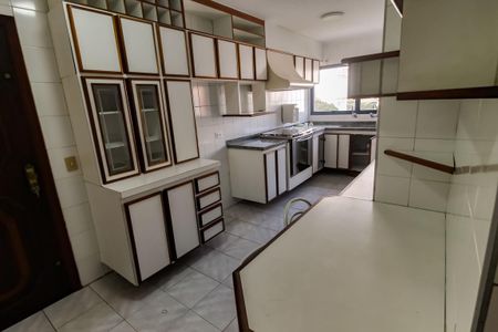Apartamento para alugar com 121m², 3 quartos e 2 vagas Apartamento para alugar com 121m², 3 quartos e 2 vagasCozinha - Armários