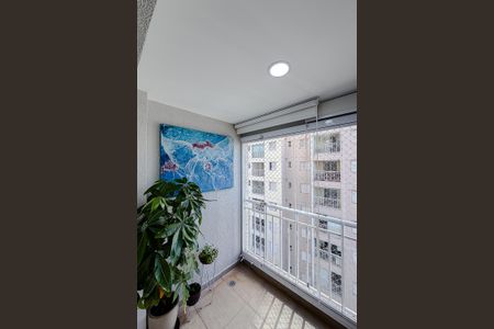 Varanda da Sala de apartamento à venda com 3 quartos, 64m² em Cambuci, São Paulo